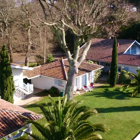 L'orée De La Forêt