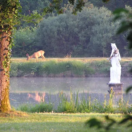 L'oree De La Foret